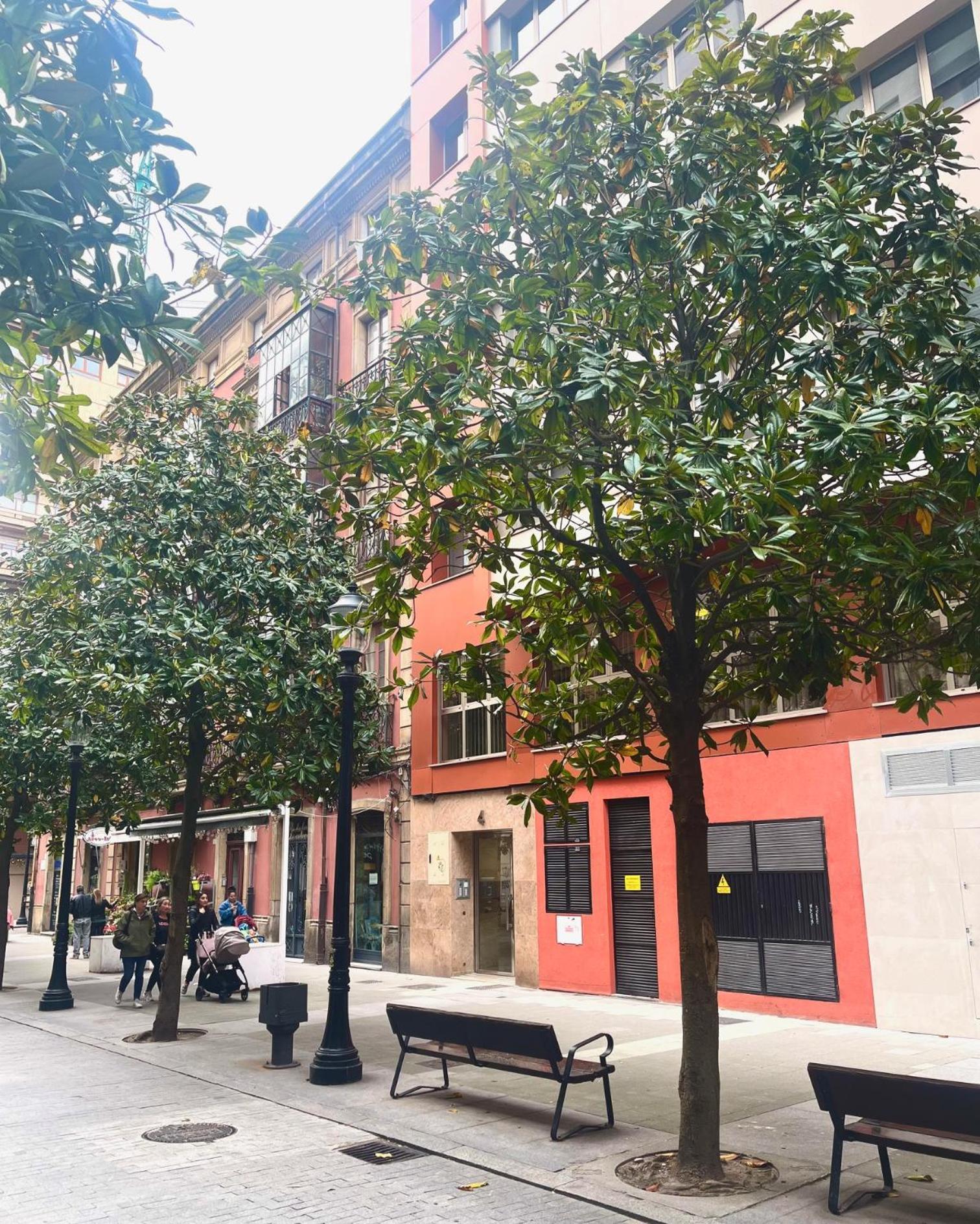 El Mirador Del Centro Daire Gijón Dış mekan fotoğraf