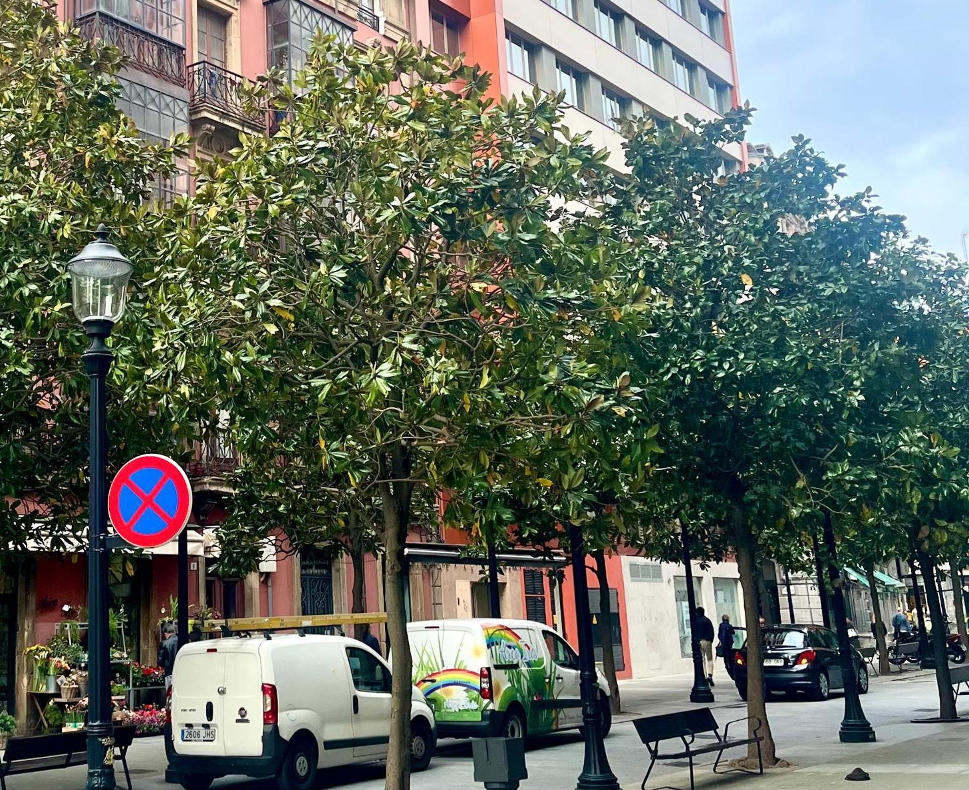 El Mirador Del Centro Daire Gijón Dış mekan fotoğraf
